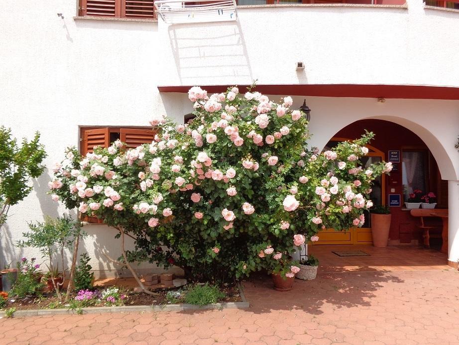 Apartmani Adrijan Krk كرك المظهر الخارجي الصورة